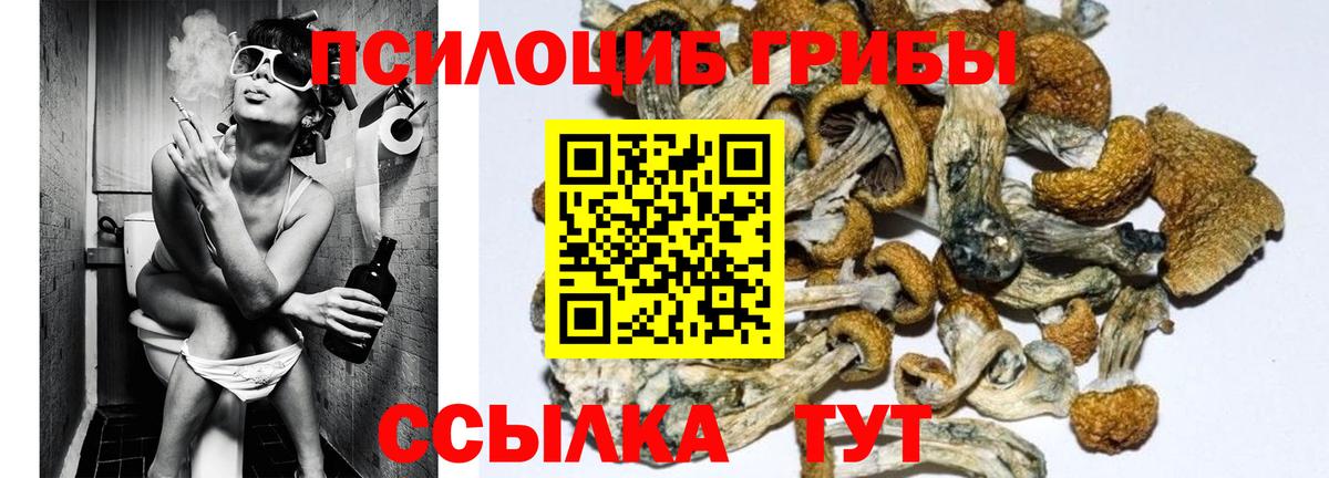 Галлюциногенные грибы Cubensis Верхняя Салда